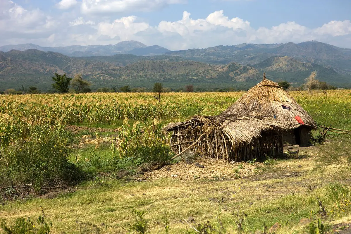 coffee poverty reduction Ethiopia