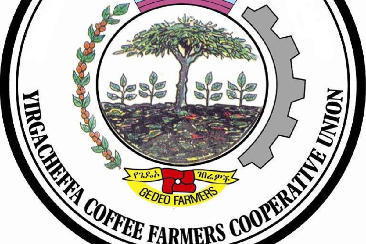 ethiopia coffee International collaborations and partnerships