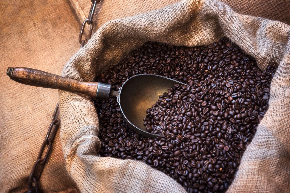 ethiopia coffee medicine