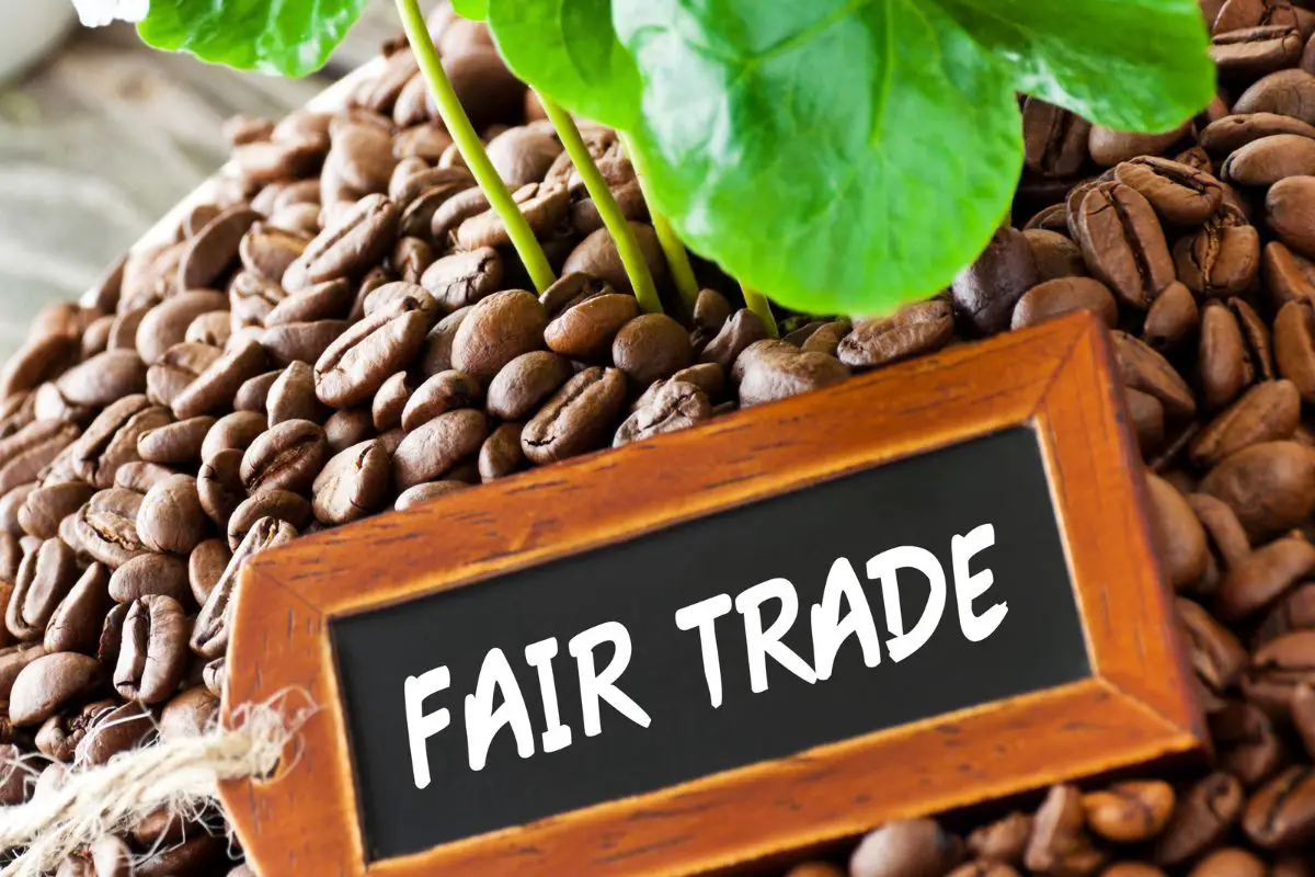 fair trade coffee