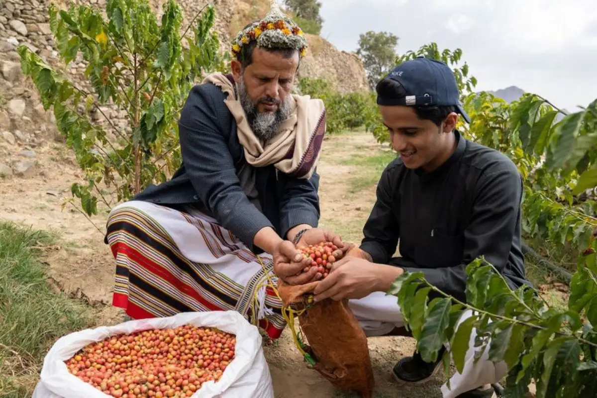 Technological Challenges for Coffee Farmers