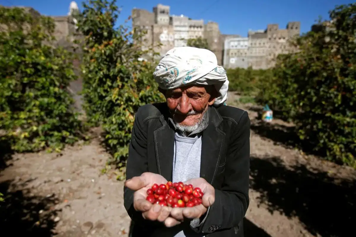 coffee yemen