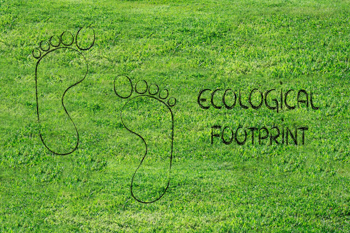 coffee environmental footprint 