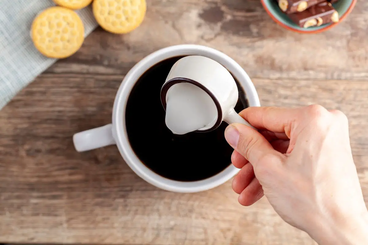 Coffee Creamer With Milk And Vanilla Extract