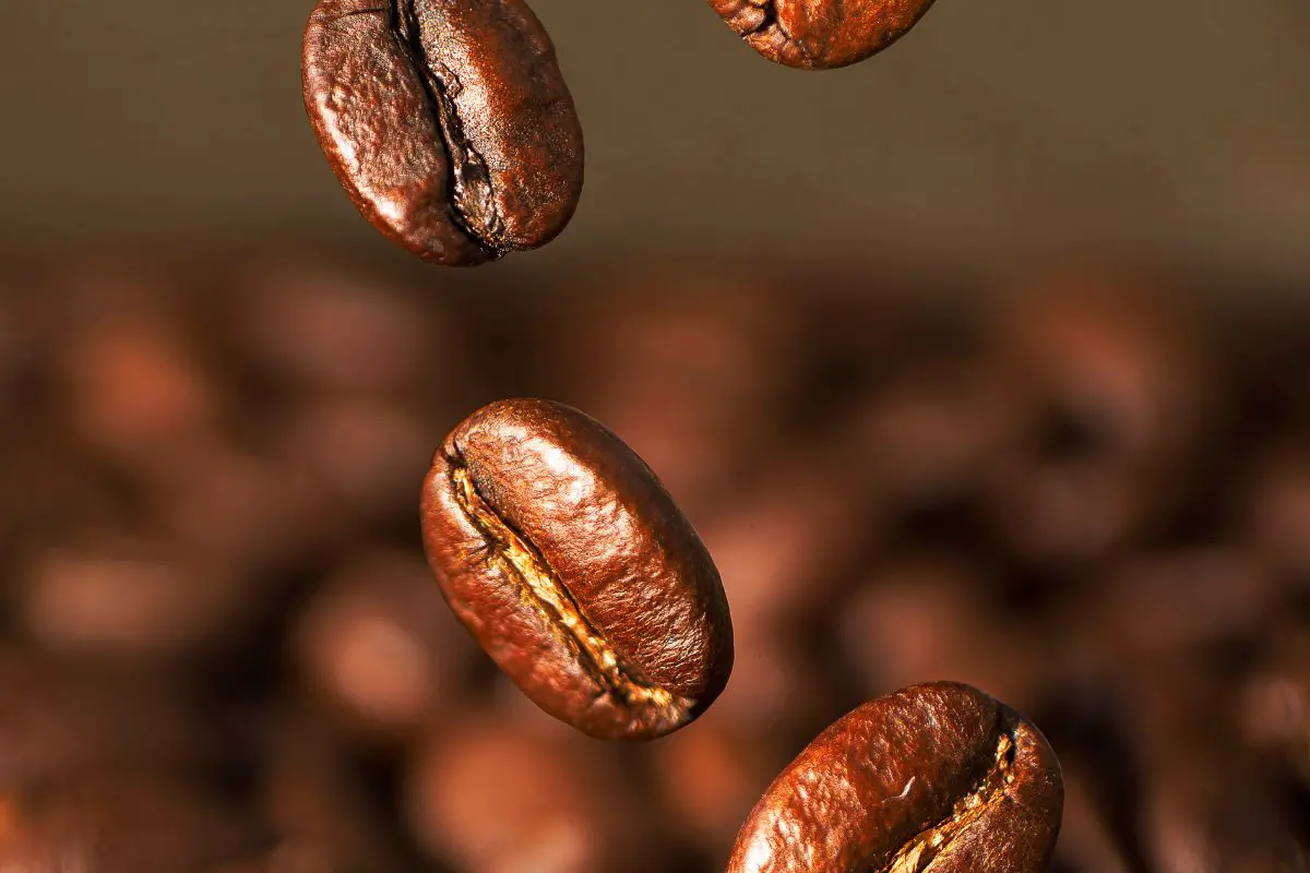 Good Coffee Bean