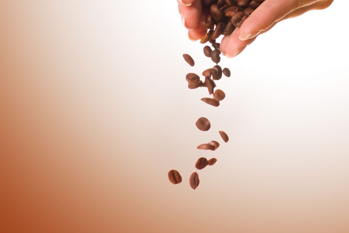 Swiss Water Decaf Coffee Beans