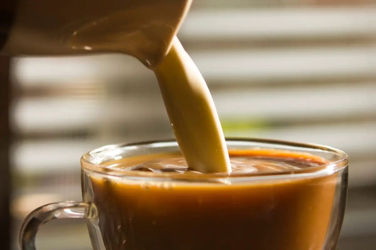 homemade Coffee Creamer
