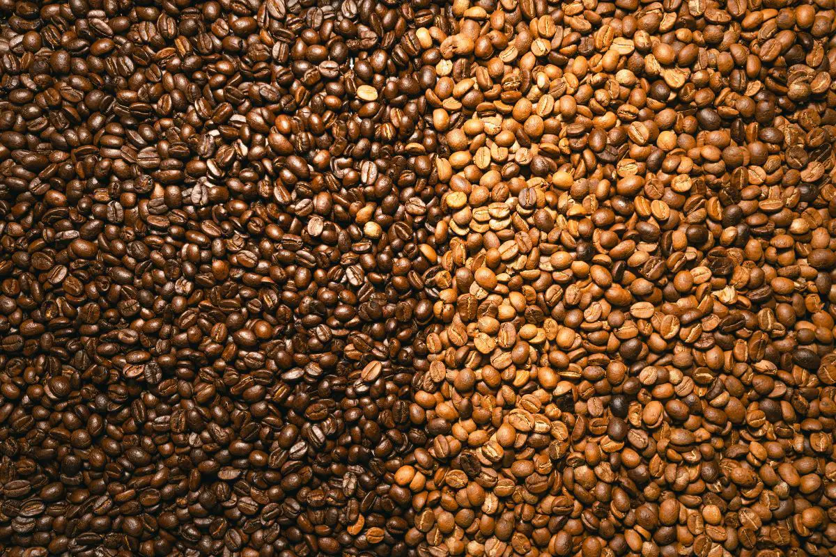 more bitter light dark roast coffee