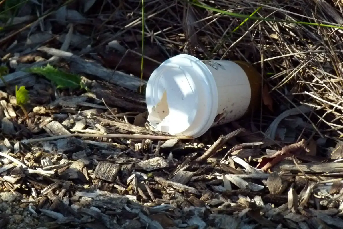 recycle old coffee cups