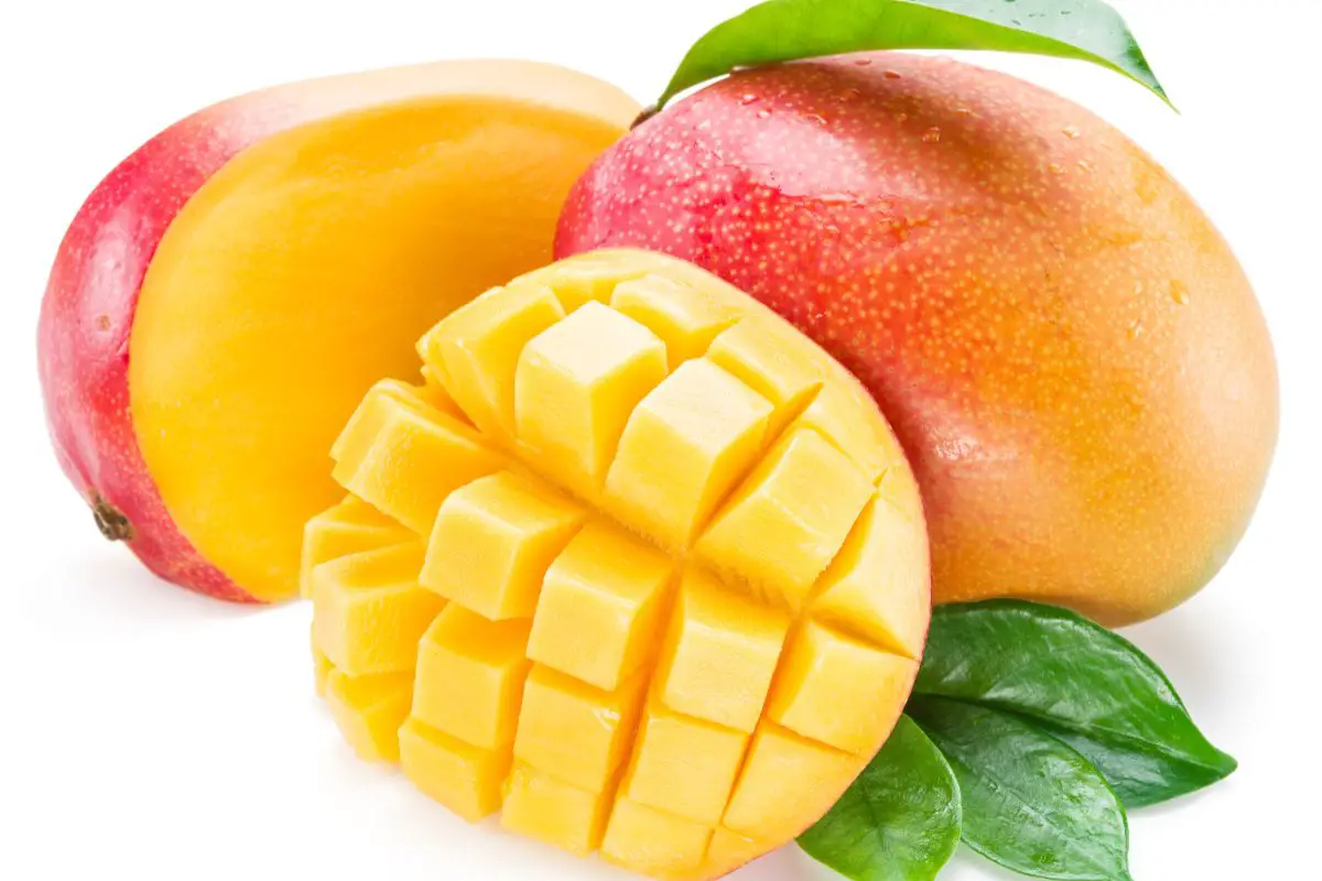 Can I Drink Coffee After Eating Mango