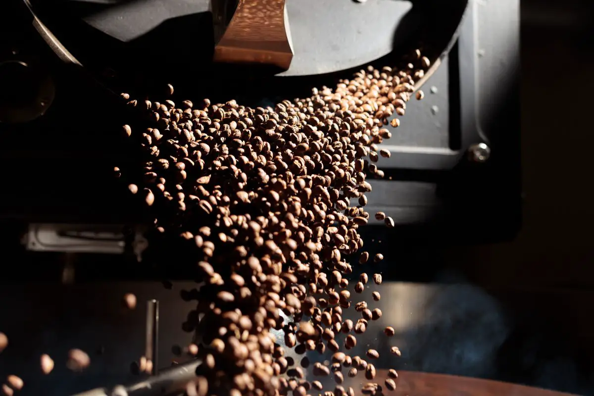 Can You Roast Decaf Coffee
