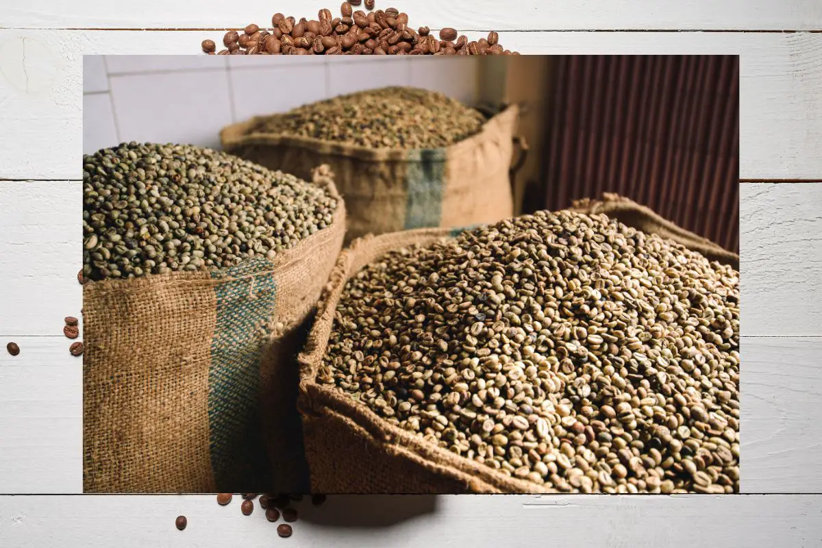 Coffee Bags Compost