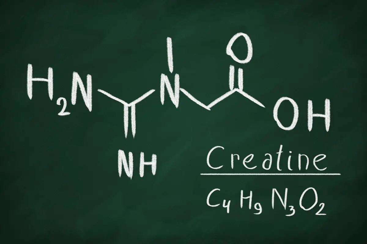 Creatine In Coffee