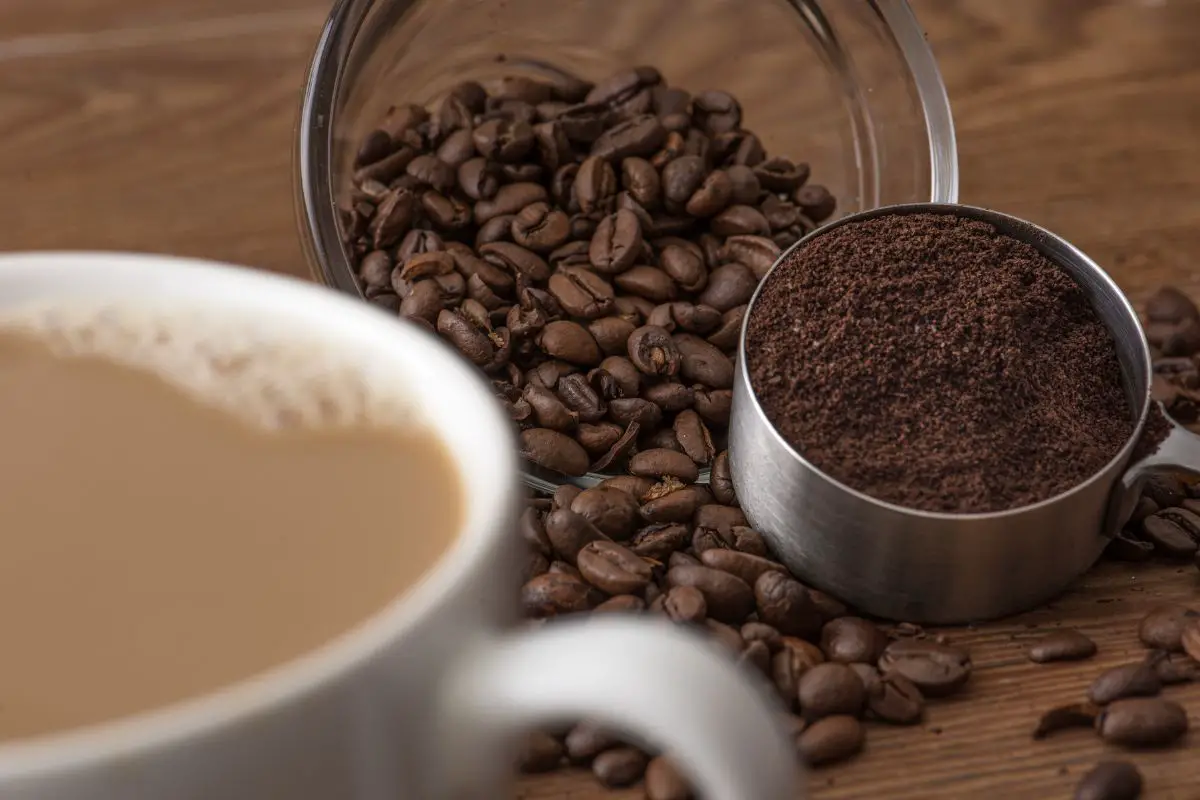 is there Creatine In Coffee