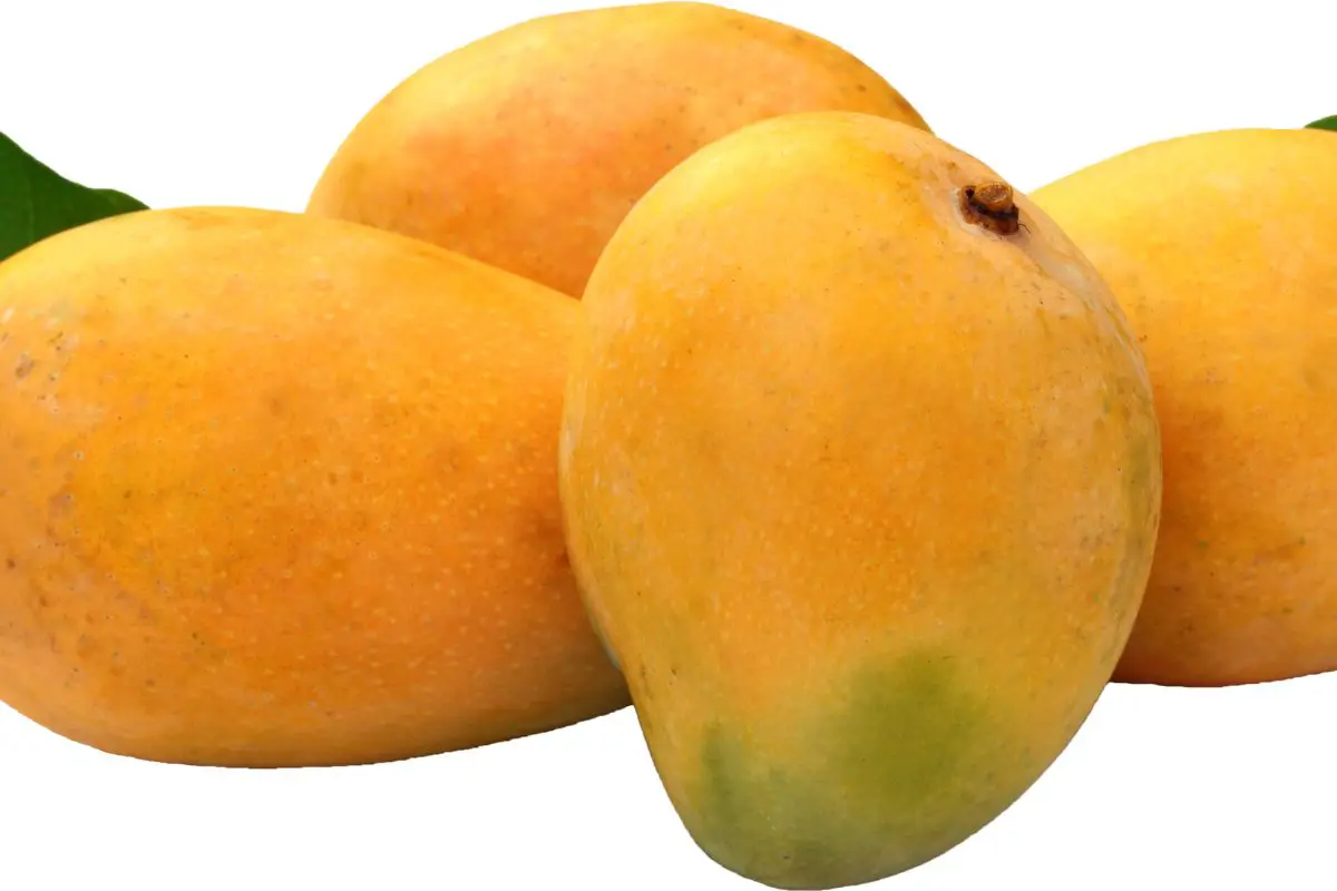 Drink Coffee After Eating Mango