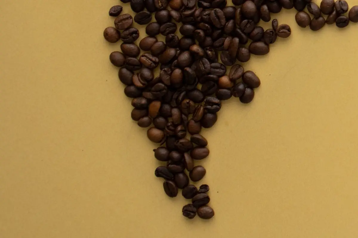 How Do You Make Coffee Bean Art