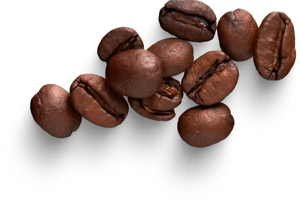 Is Premium Coffee Good