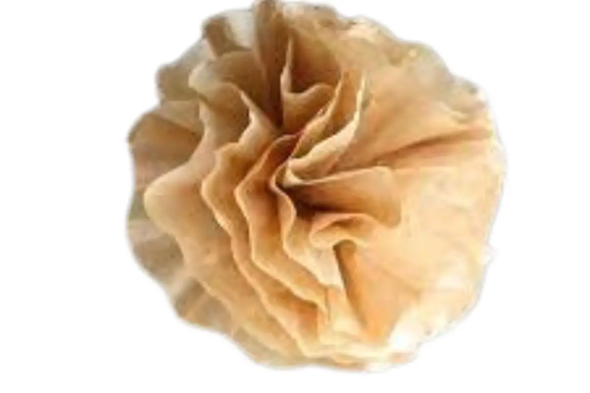 Making Coffee Filter Flowers