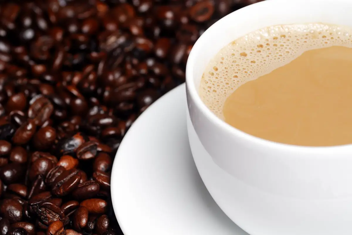 Premium Coffee