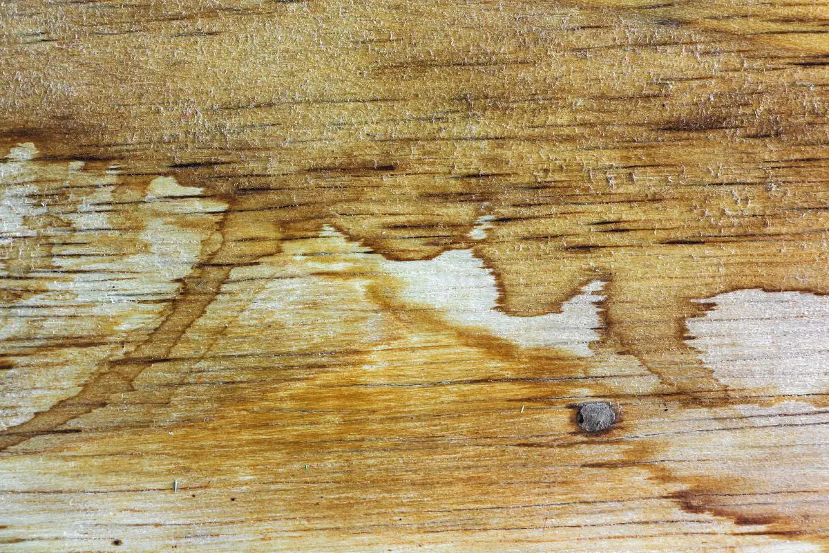 Remove Coffee Stains From Wood