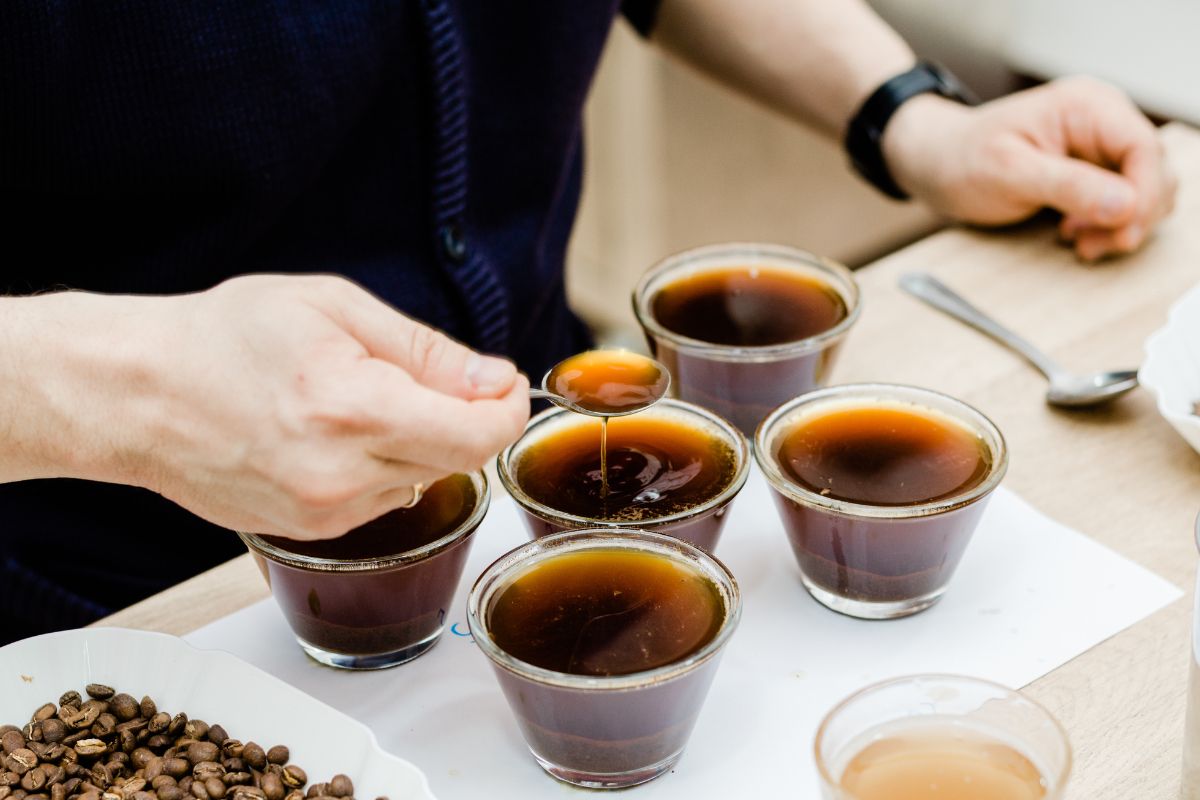 Tasting Components Of Coffee