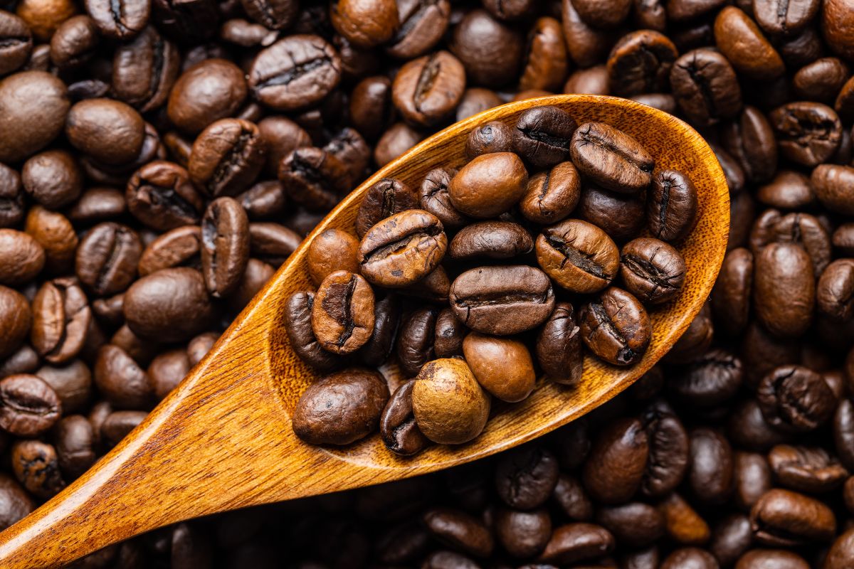 What Is Premium Gourmet Coffee