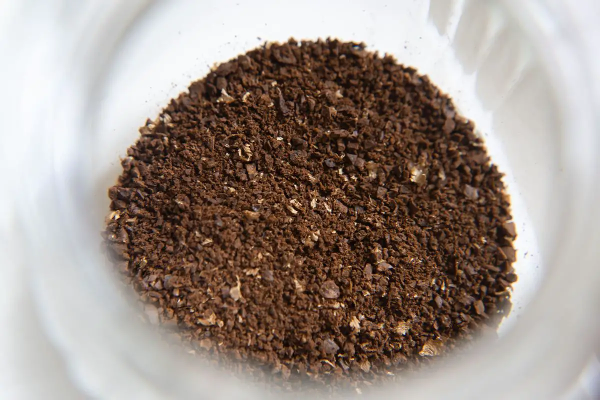 medium Coffee Grind